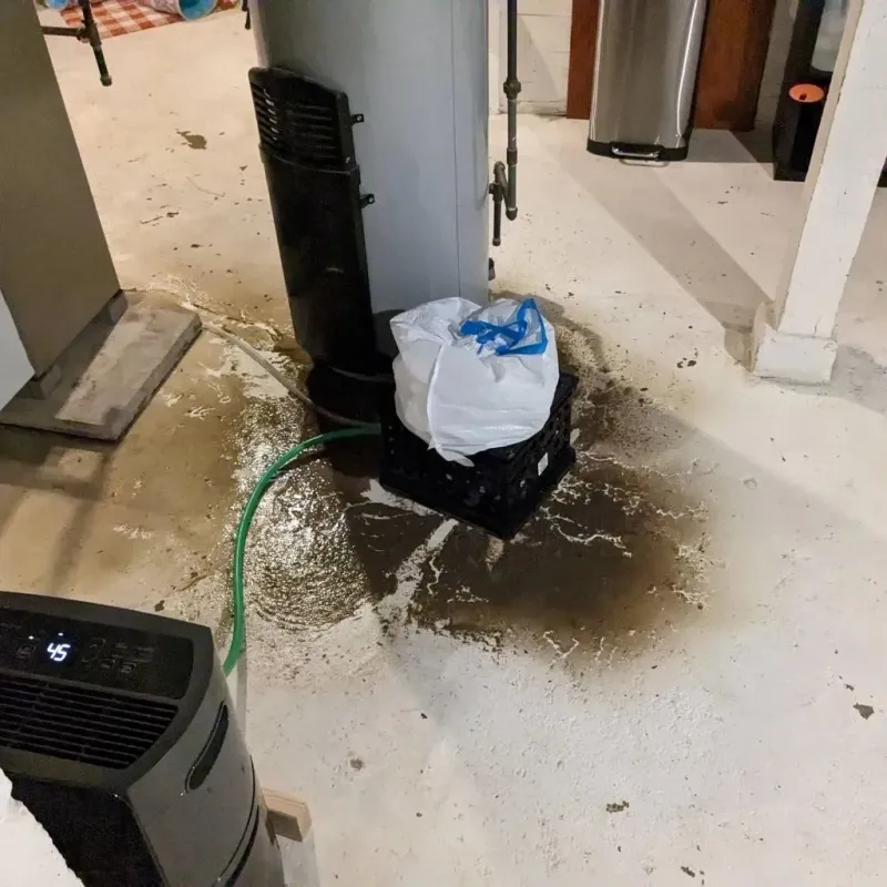 Sewage Backup Cleanup Service in Pinebluff, NC